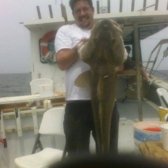 Meet your Posher, David - Picture 1 of 1